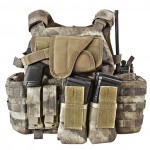 AR500 Armor Warrior DCS Plate Carrier