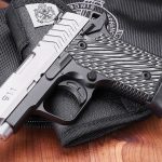 Springeld Armory 911 .380
