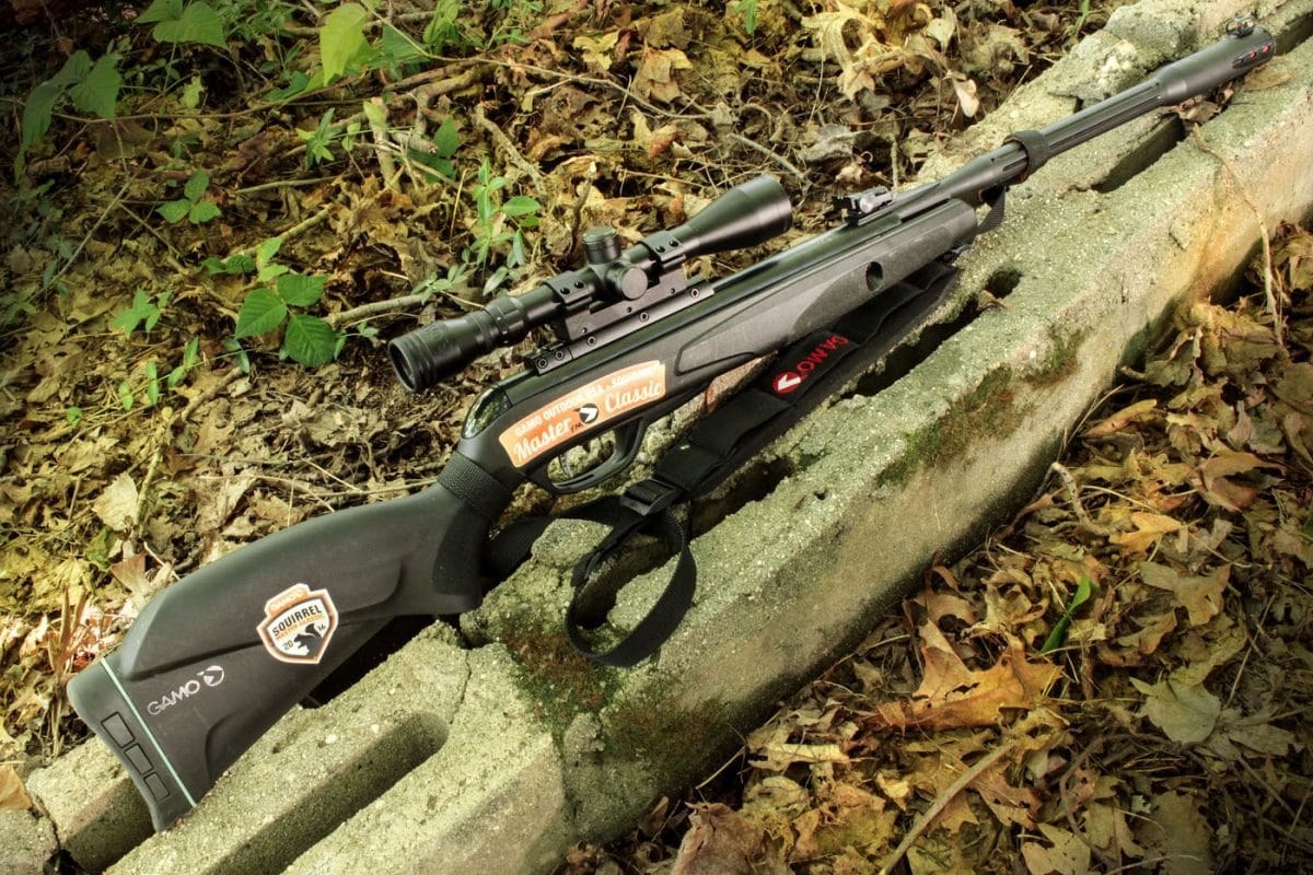 Gamo Whisper Fusion Mach 1 Air Rifle On Target Magazine