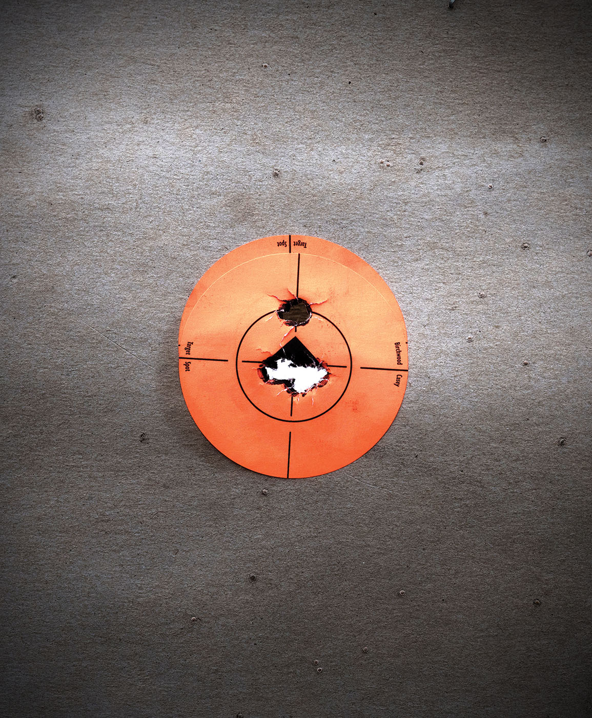 Dw Wraith Dan Wesson Wraith | On Target Magazine | Page 2