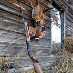 Mossberg SA-28 Shotgun