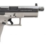CZ USA P-10 C/Silencerco Omega 9K