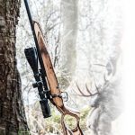 Boyds Spike Camp Gunstock