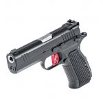 Dan Wesson DWX Pistols