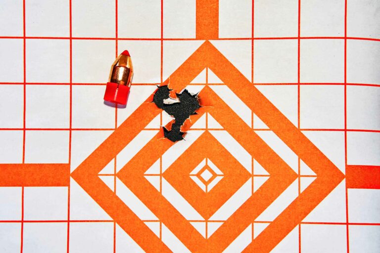 Tested Hornady’s new Bore Driver FTX Redefines Muzzleloader Bullet