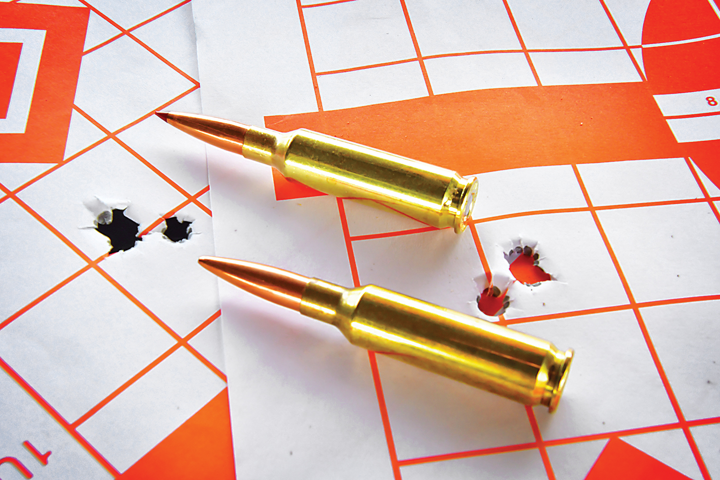 Savage impulse predator on target magazine