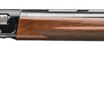 Browning A5 Sweet Sixteen ($2,029)