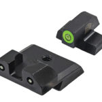 XS Sights R3D Night Sights for Springfield Armory SA-35 ($116)