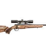 Boyd’s Agility Riflestock (From $237)