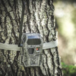 Wild Game Innovations Encounter Camera ($150)