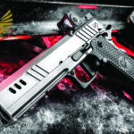 2023 Editor’s Choice Award – Nighthawk Custom BDS9