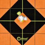 Christensen 004
