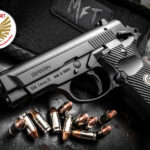 2024 Editor’s Choice Award Winning EAA Girsan MC14 BDA .380 ACP