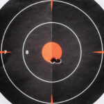 5-BT APC223 Target(C) copy