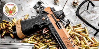 Kimber 2K11 Target