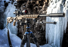 Springfield Armory Model 2020 Heatseeker