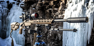 Springfield Armory Model 2020 Heatseeker