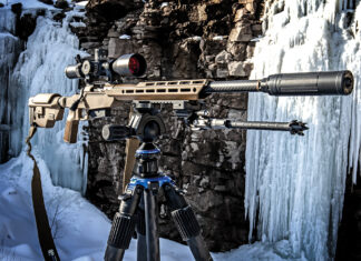 Springfield Armory Model 2020 Heatseeker