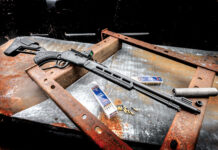 Savage Revel Tactical .22LR